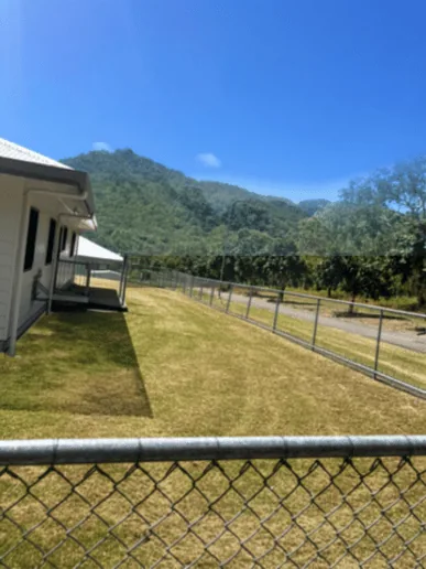Freshly mown tropical lawn in Townsville