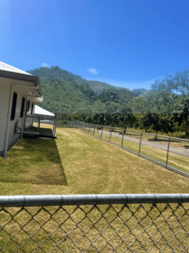 Freshly mown tropical lawn in Townsville